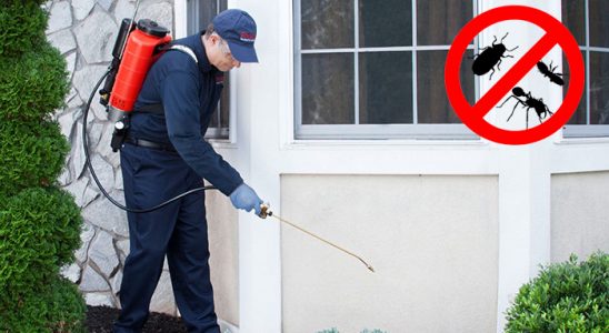 Sancaktepe Dezenfeksiyon böcek ilaçlama ve haşere kontrolü — ilaclama-tr.com